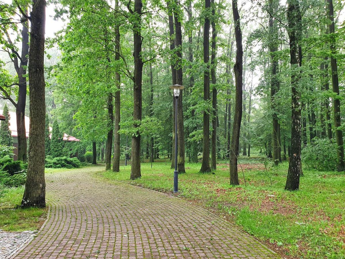 Stacja Nowa Gdynia Bed & Breakfast Aquapark Zgierz Kültér fotó