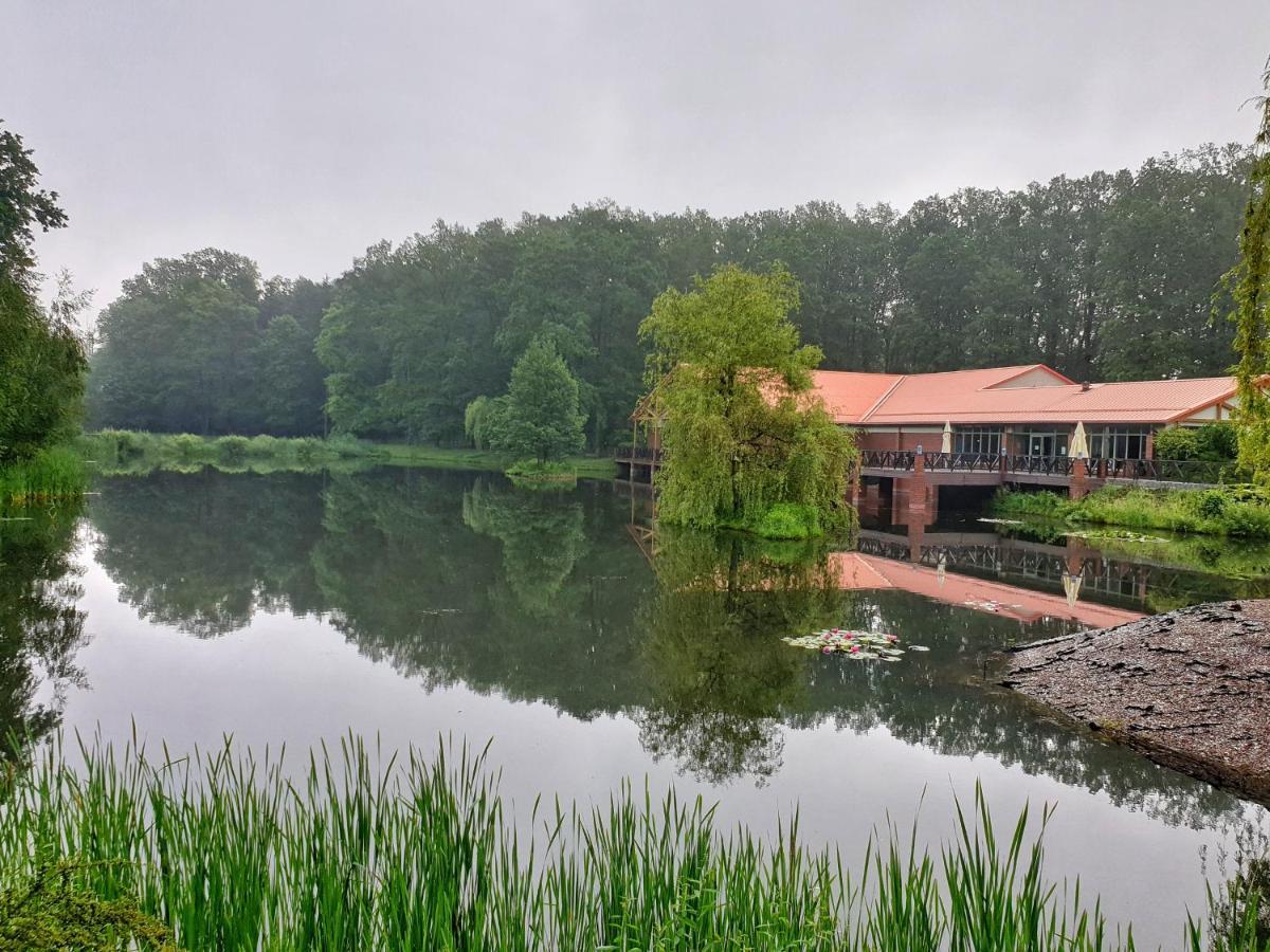 Stacja Nowa Gdynia Bed & Breakfast Aquapark Zgierz Kültér fotó