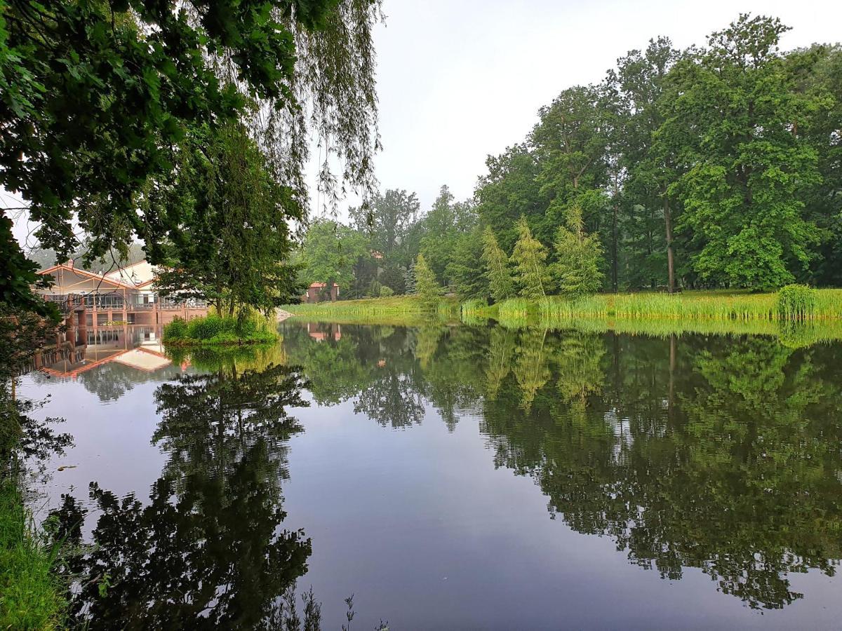 Stacja Nowa Gdynia Bed & Breakfast Aquapark Zgierz Kültér fotó