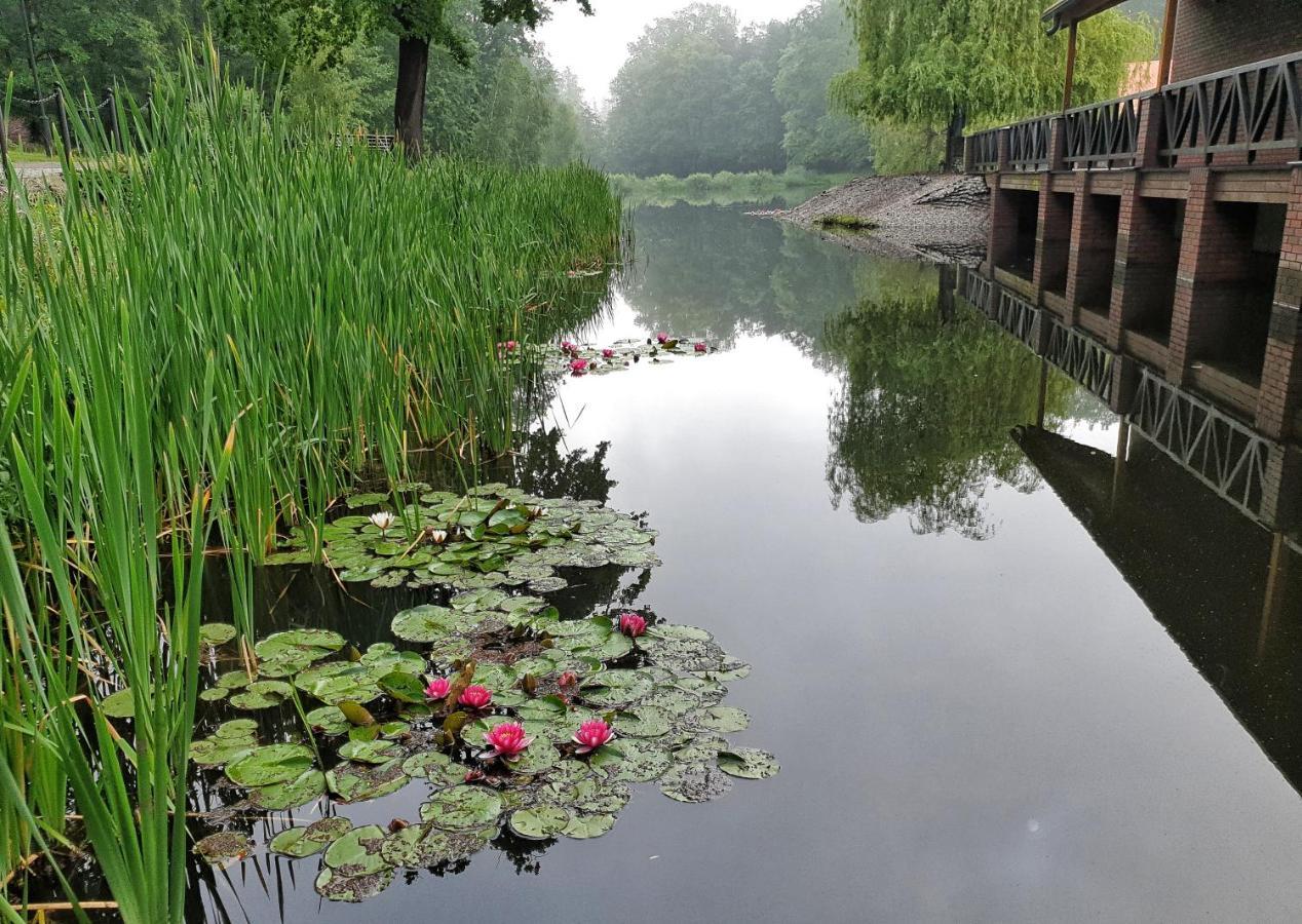 Stacja Nowa Gdynia Bed & Breakfast Aquapark Zgierz Kültér fotó