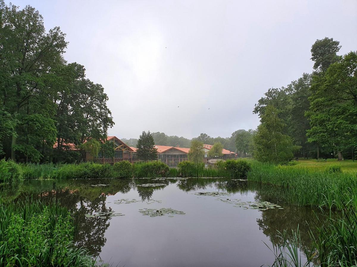 Stacja Nowa Gdynia Bed & Breakfast Aquapark Zgierz Kültér fotó