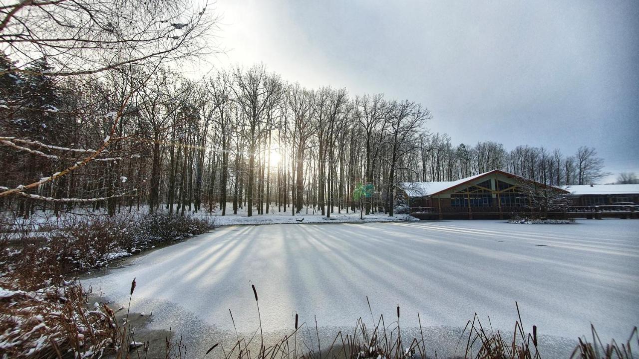 Stacja Nowa Gdynia Bed & Breakfast Aquapark Zgierz Kültér fotó